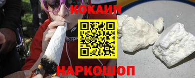 сатива Кандалакша
