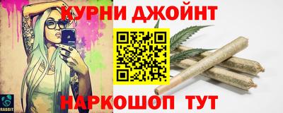 сатива Кандалакша