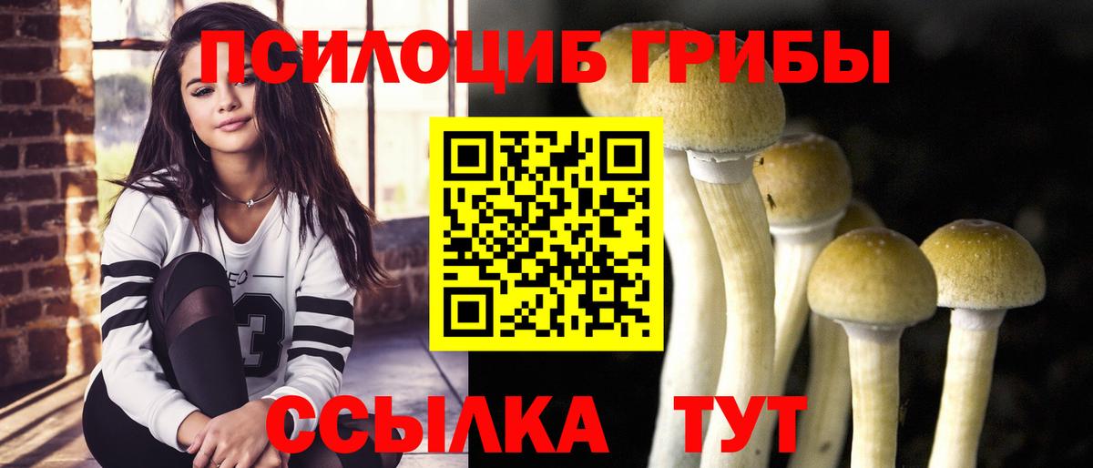 Псилоцибиновые грибы Cubensis  где найти   Лесозаводск  Псилоцибиновые грибы MAGIC MUSHROOMS  Вход с VPN 